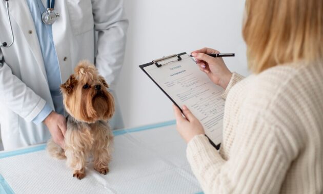 Pet Insurance: Protecting Your Furry Family Members
